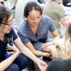 Herston students with a puppy from Therapy and Support Animals Queensland.