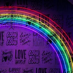 A rainbow neon light against a wall with various illustrations of the phrase, love is love