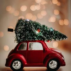 UQ Mini Christmas Tree Decorating