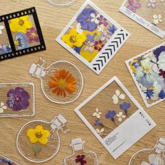 Dried and pressed flowers in various laminated shapes