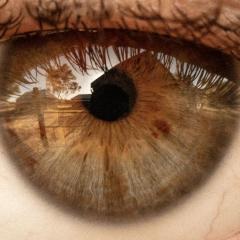 Extreme close up of a hazel eye