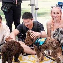 Students petting puppies from Therapy and Support Animals Queensland